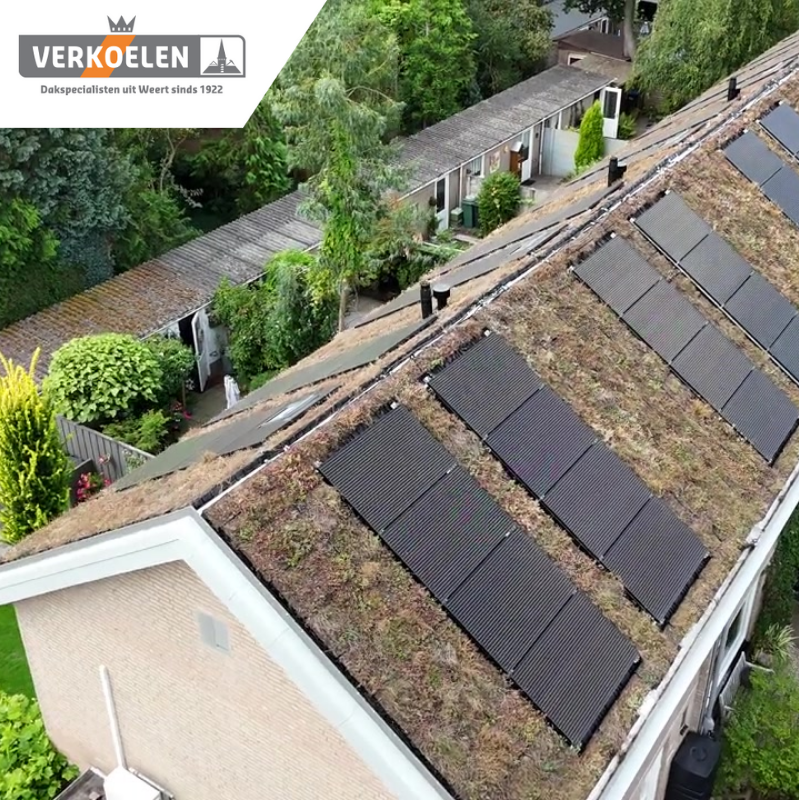 Project in beeld: duurzame groene daken